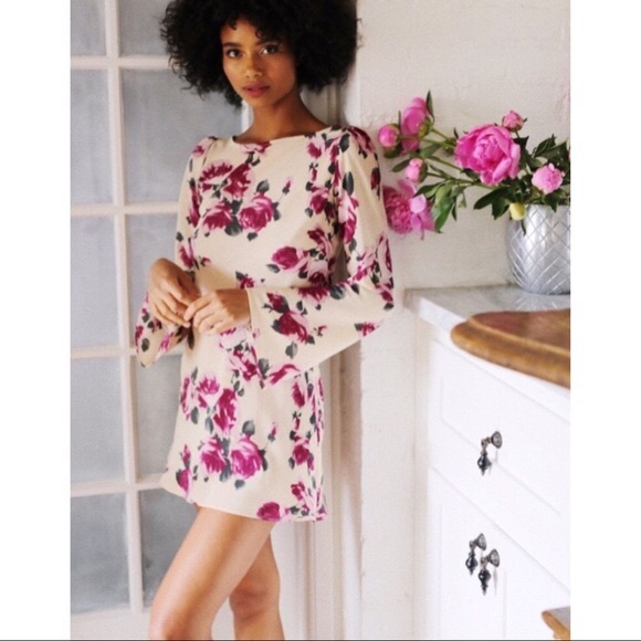 Stone Cold Fox Dresses & Skirts - STONE COLD FOX Baiser Silk Rose Print Dress Size 3